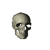 skull_spin